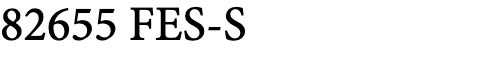 FES-S